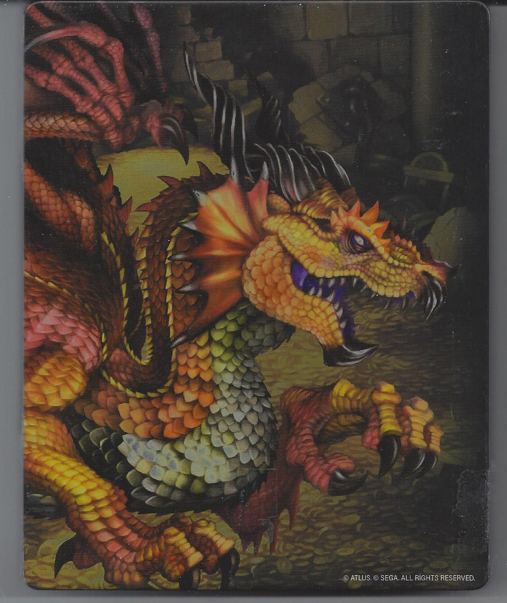 Dragon's Crown Pro (STEEL CASE) | PS4