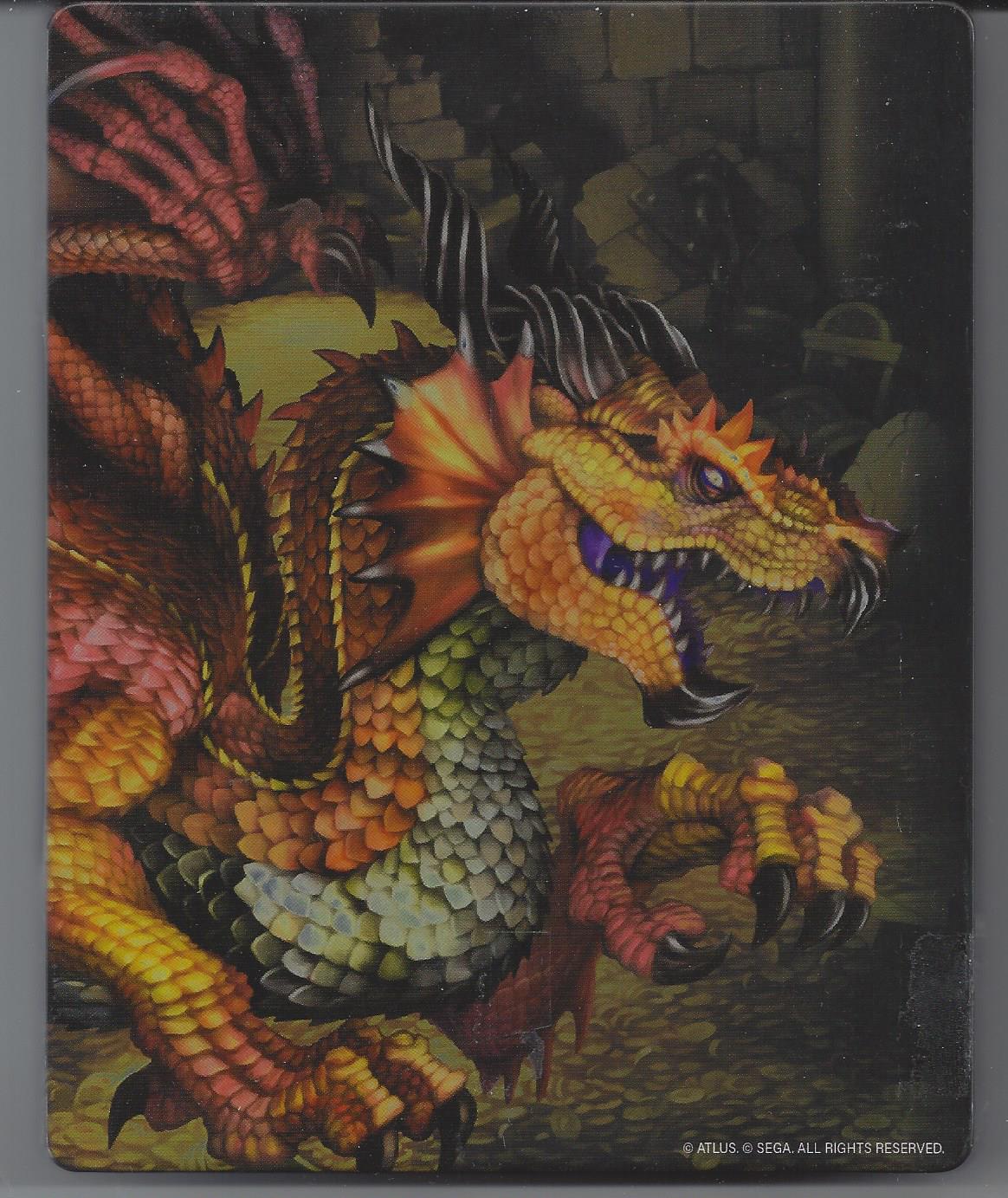 Dragon's Crown Pro (STEEL CASE) | PS4