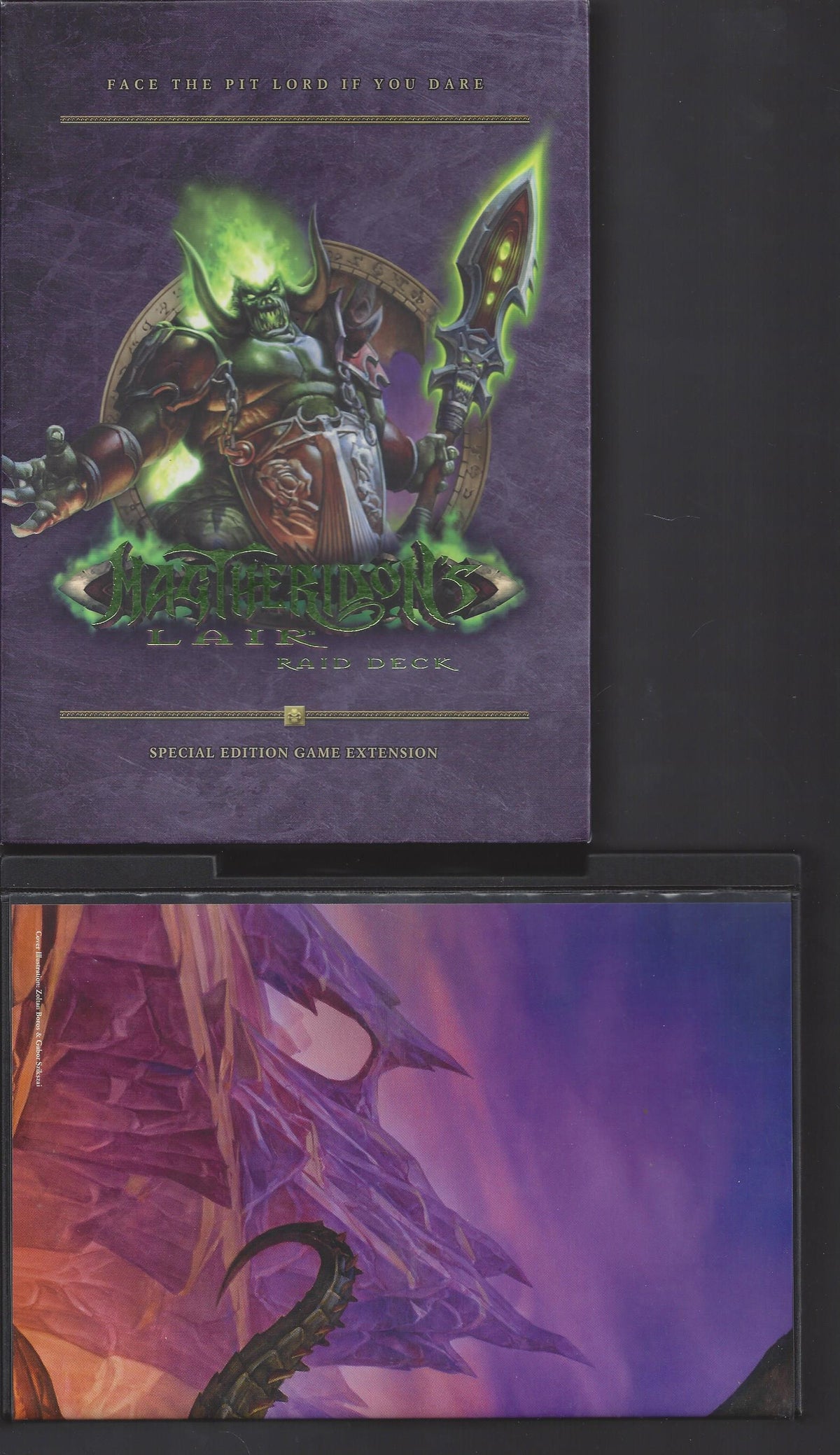 World Of Warcraft Trading Card Game MAGTERIDONS LAIR Raid Deck BLIZZARD (2007)